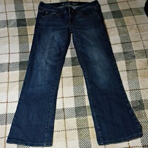 American Eagle Outfitters Dark Blue Flared Jeans